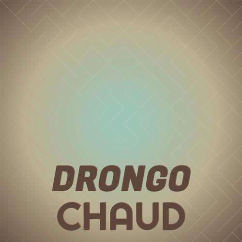 Drongo Chaud