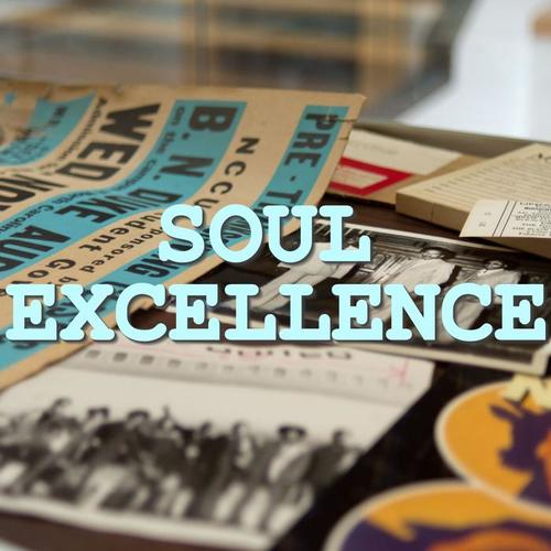 Soul Excellence