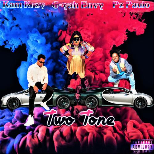 Two Tone (feat. Kam Krzy & Pz Paulo) [Explicit]