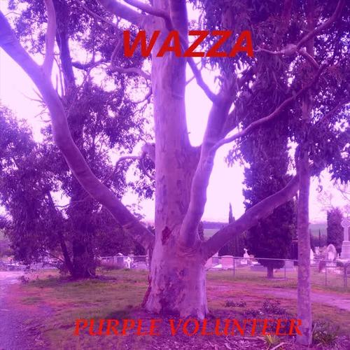 Purple Volunteer