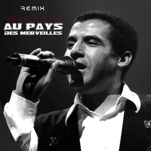 Au Pays Des Merveilles (feat. Cheb Mami) [Remix] [Explicit]