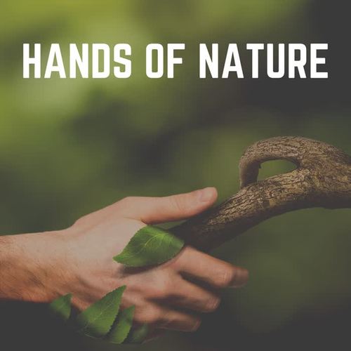 Hands of Nature