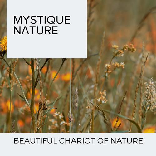 Mystique Nature - Beautiful Chariot of Nature