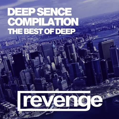 Deep Sense Compilation 2017