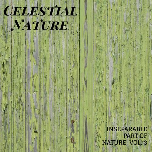 Celestial Nature - Inseparable Part of Nature, Vol. 3