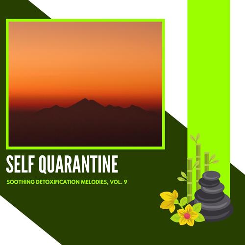 Self Quarantine - Soothing Detoxification Melodies, Vol. 9