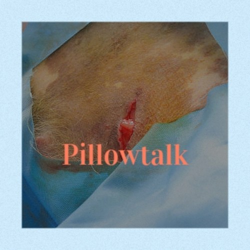 Pillowtalk