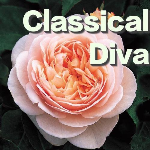 Classical Diva