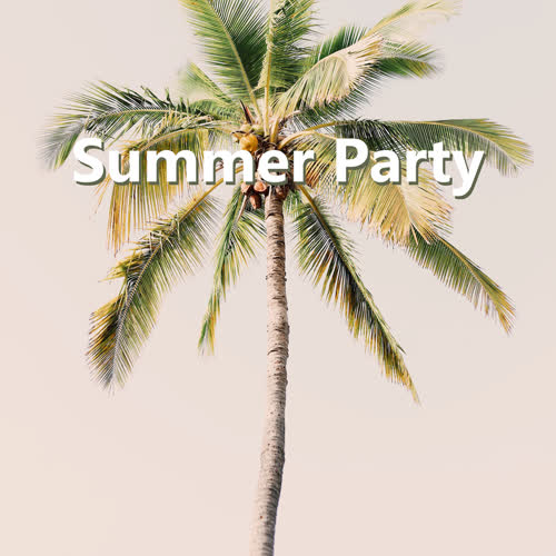 Summer Party (Explicit)