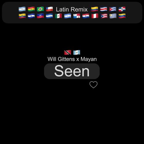 Seen (Mayan Latin Remix)