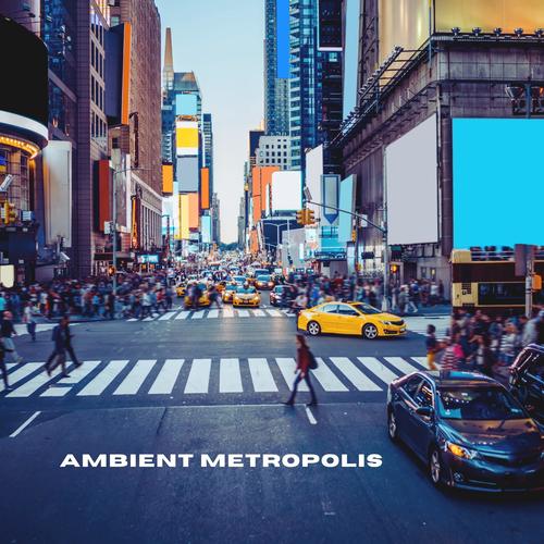 Ambient Metropolis