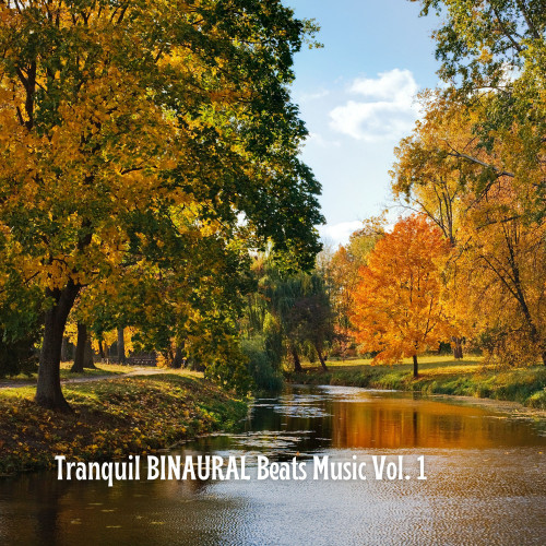 Tranquil BINAURAL Beats Music Vol. 1