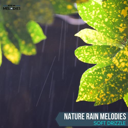 Nature Rain Melodies - Soft Drizzle