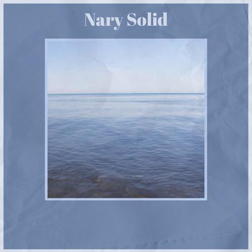 Nary Solid