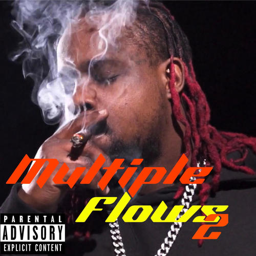 Multiple Flows 2 (Explicit)