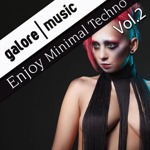 Enjoy Minimal Techno, Vol. 2