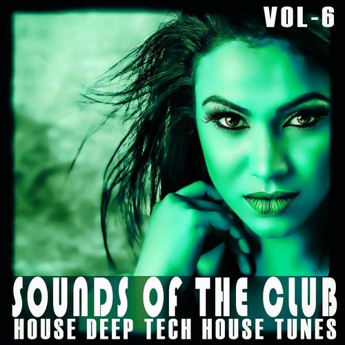 Sounds of the Club, Vol. 6