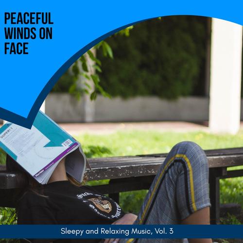 Peaceful Winds On Face - Sleepy And Relaxing Music, Vol. 3