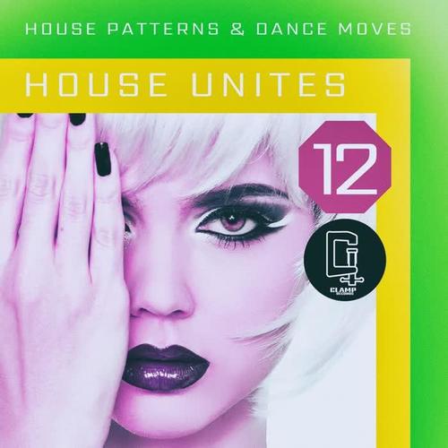 House Unites - Pattern 12