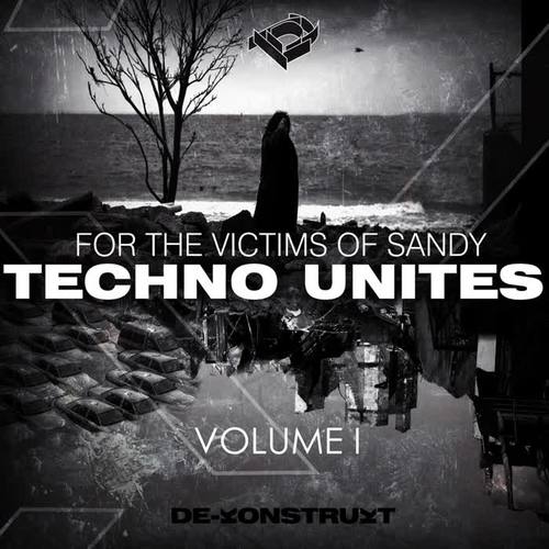 Techno Unites 'Victims of Sandy' Volume I