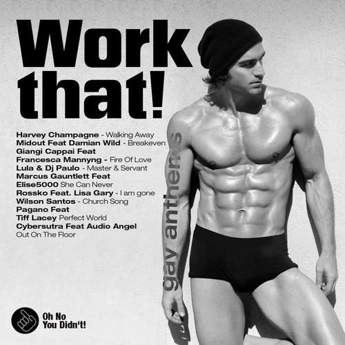 Oh No You Didn't! Presents:  Work That! (Gay Anthems)