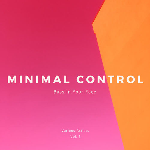 Minimal Control (Bass In Your Face) , Vol. 1