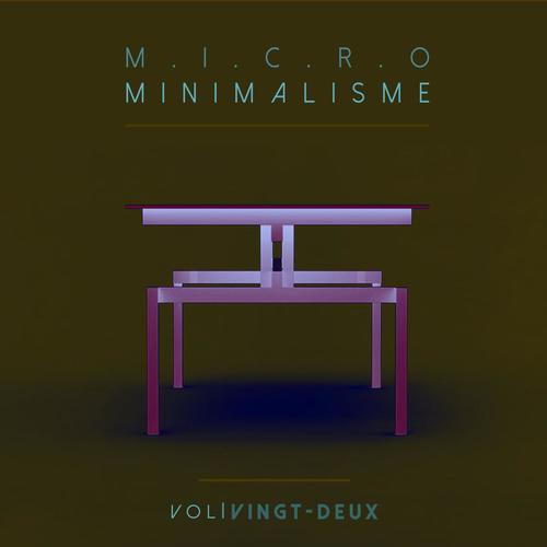 Micro Minimalisme Vol. Vingt-Deux