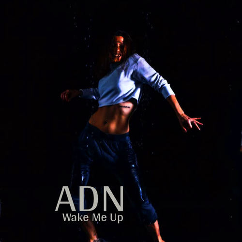 Wake Me Up
