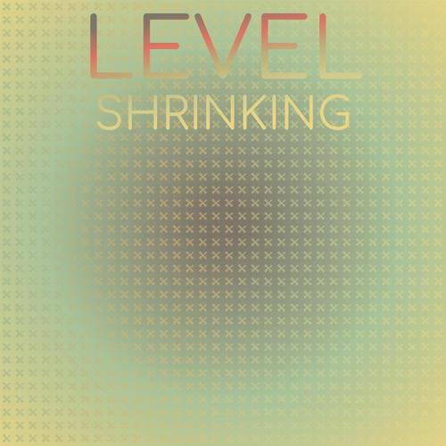 Level Shrinking