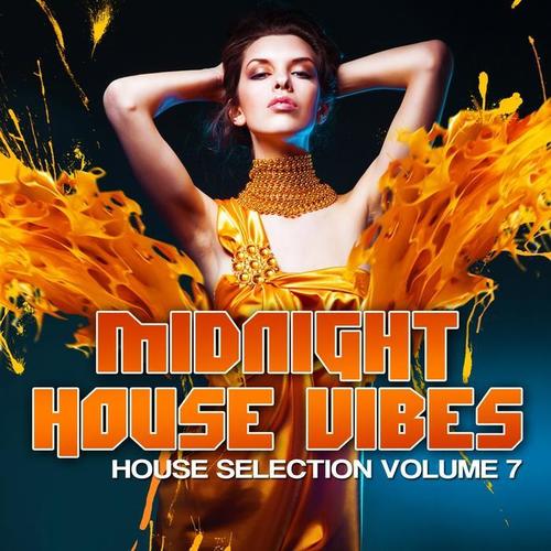 Midnight House Vibes, Vol. 7