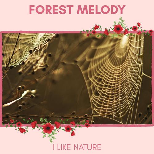 Forest Melody - I Like Nature