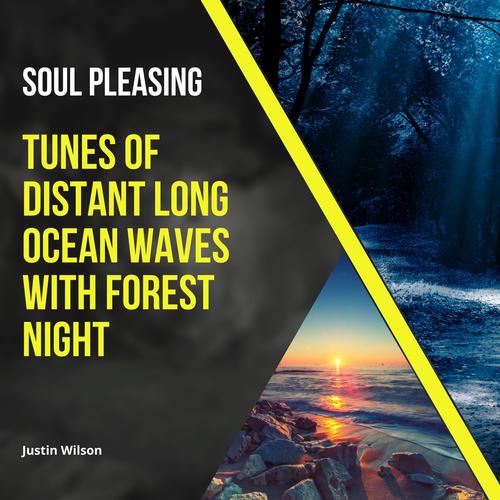 Soul Pleasing Tunes of Distant Long Ocean Waves with Forest Night