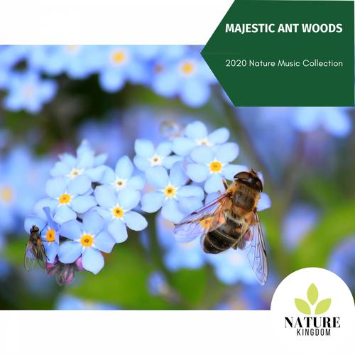 Majestic Ant Woods - 2020 Nature Music Collection