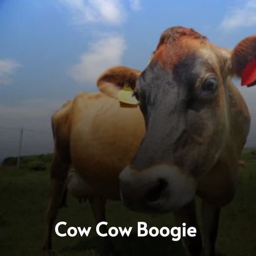 Cow Cow Boogie