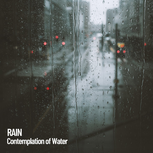 Rain: Contemplation of Water