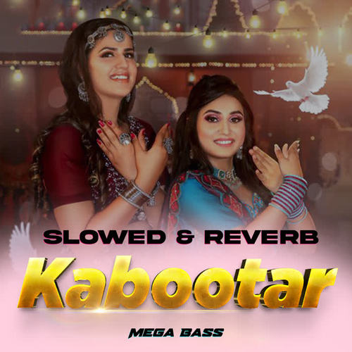 Kabootar Slowed & Reverb