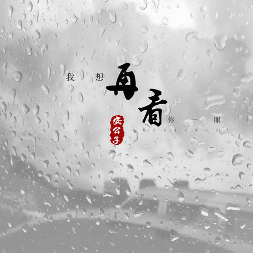我想再看你一眼