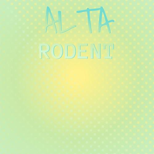 Alta Rodent