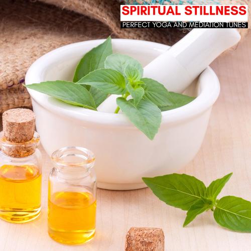 Spiritual Stillness - Perfect Yoga And Mediation Tunes