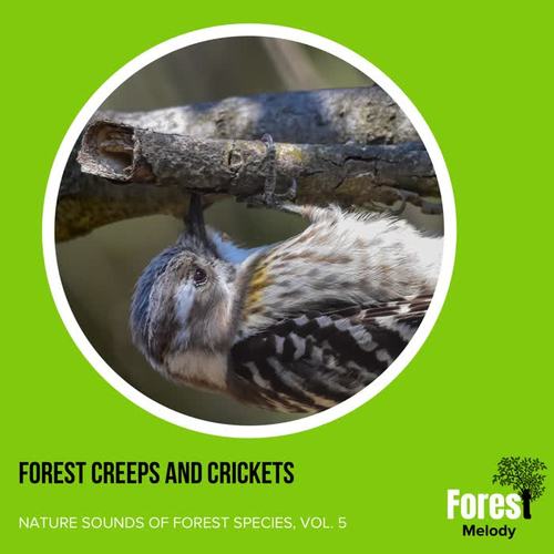 Forest Creeps and Crickets - Nature Sounds of Forest Species, Vol. 5