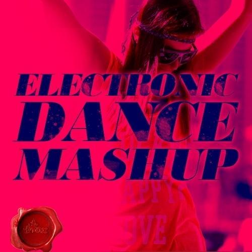 Electronic Dance Mash Up Louder