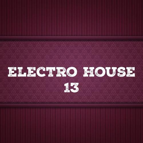 Electro House, Vol. 13