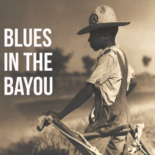 Blues in the Bayou