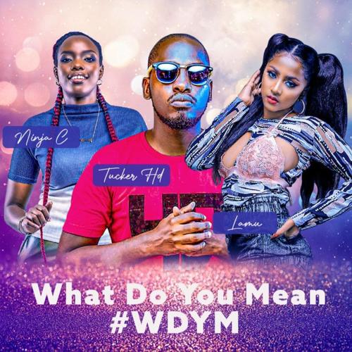 What Do You Mean? (feat. Lamu & Tucker HD)