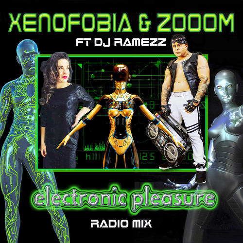 Electronic Pleasure (Radio Mix)