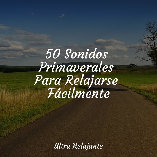 50 Sonidos Primaverales Para Relajarse Fácilmente