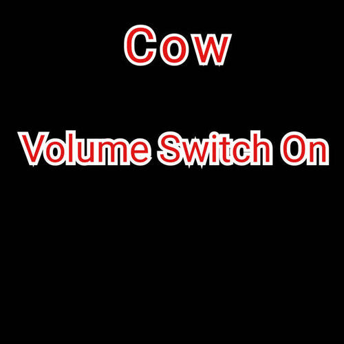 Volume Switch On (Explicit)