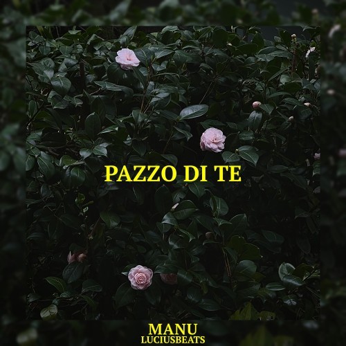 Pazzo di te (Explicit)