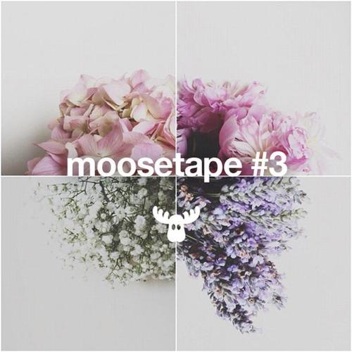 Moosetape, Vol. 3