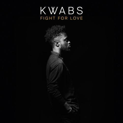 Fight for Love (Blonde Remix; Radio Edit)
